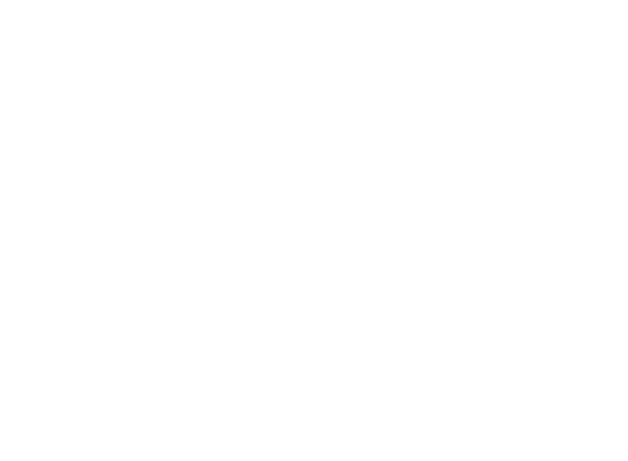 New ChitoShield Logo_White
